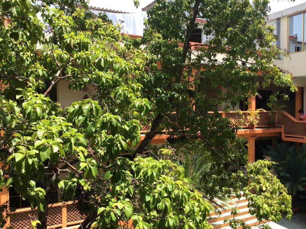 Hotel Juros Catemaco Ngoại thất bức ảnh